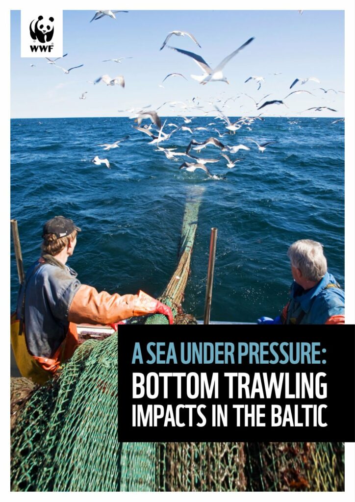 A sea under pressure: Bottom trawling impacts in the Baltic